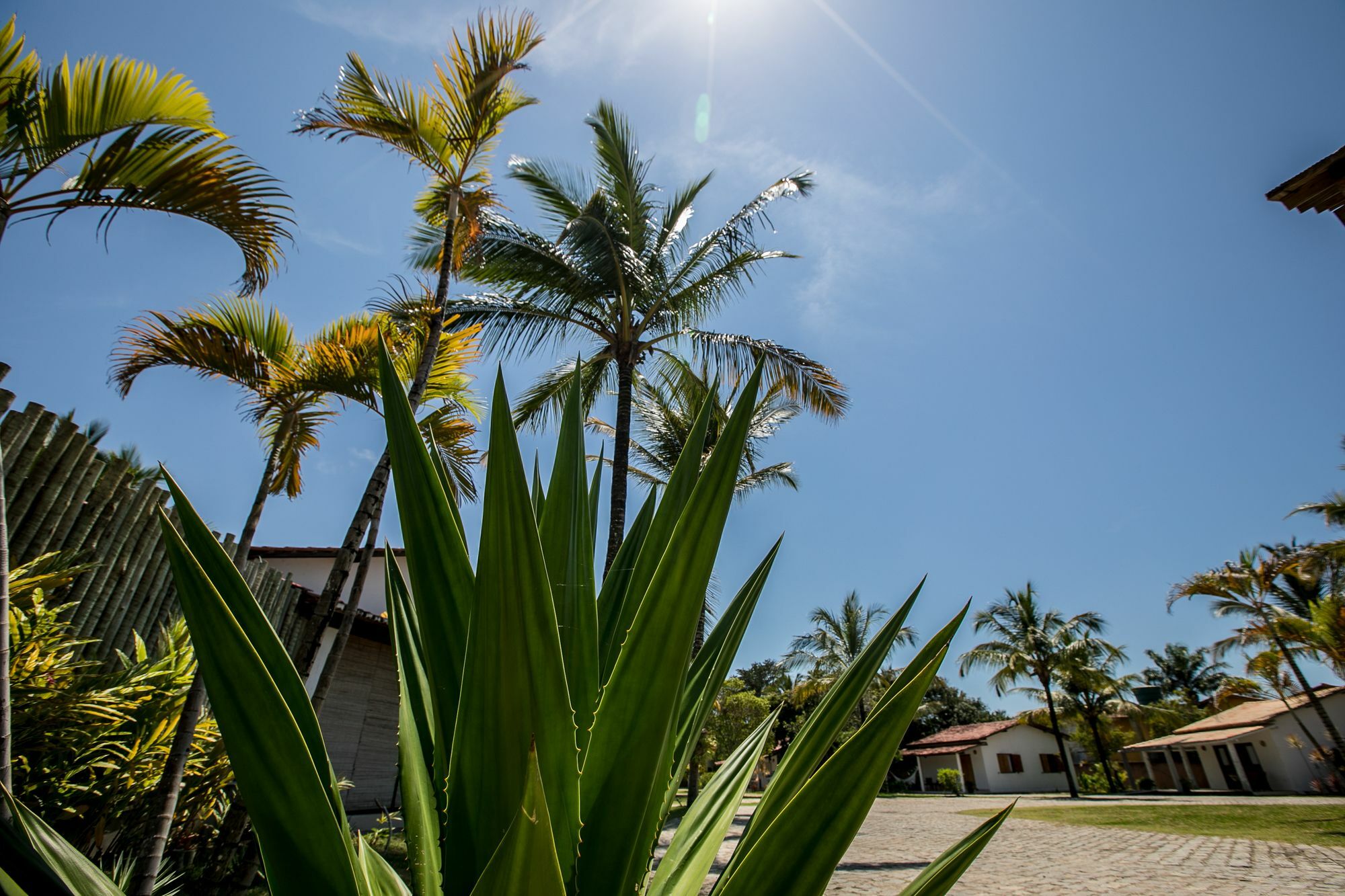 Vila Morena Trancoso Dış mekan fotoğraf